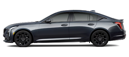 2 Passenger Luxury Sedan